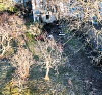 Der Garten beim Ferienhaus in der Palmenstraße im Stadtteil Košice - Sever.