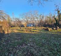 Garten mit Bäumen und Schneeglöckchen in der Hütte auf der Palmová in Košice - Stadtteil Sever.