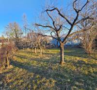 Garten mit kahlen Bäumen in der Palmenstraße, Košice - Stadtteil Sever bei der Hütte.