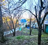 Der Garten bei der Hütte in der Palmová in Košice - Stadtteil Sever mit Obstbäumen.