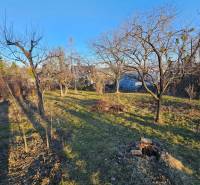 Ein Garten mit Obstbäumen in der Palmenstraße in Košice - Stadtteil Sever.