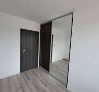 Ein Zimmer mit einem Holzboden, dunklen Türen und einem Einbauschrank in einem Einfamilienhaus.