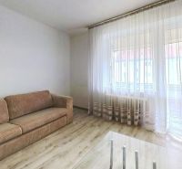 Wohnzimmer mit Sofas und großen Fenstern, 3-Zimmer-Wohnung, Boden mit Holzdekor.