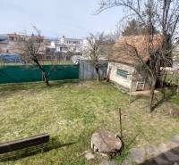 Der Garten des Einfamilienhauses in Zlaté Moravce mit Rasen, Bäumen und einer Bank.