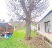 Garten bei einem Einfamilienhaus in der Straße Turá lúka in Myjava mit einem großen Baum.