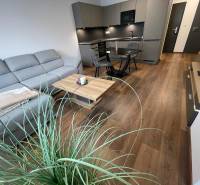 Helles Wohnzimmer mit Küche in Novomestska, Holzboden, geeignet für eine 2-Zimmer-Wohnung.
