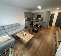 Wohnzimmer in der Novomestská Straße mit Küche, 2-Zimmer-Wohnung, Holzboden, graues Sofa.