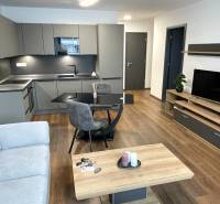 Wohnzimmer mit Küchenzeile in der Novomestská Straße, 2-Zimmer-Wohnung, Holzboden, TV-Schrank.
