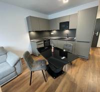 2-Zimmer-Wohnung mit Küche und Sofa auf Holzboden in der Novomestská Straße.