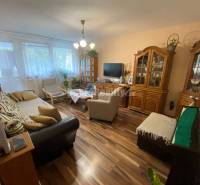 Wohnzimmer in einer 4-Zimmer-Wohnung mit Holzboden, komfortable Sitzgelegenheiten und Möbel.