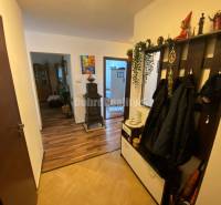 Der Flur in einer 4-Zimmer-Wohnung mit einem Boden in Holzoptik und einer Garderobenwand.