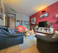 Wohnzimmer in einer 4-Zimmer-Wohnung mit Ledersofas, roter Wand und Holzboden.