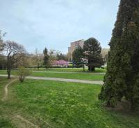 Rasenfläche und Gehweg in Košice auf der Šafárikova-Straße bei einer 4-Zimmer-Wohnung.