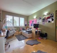Ein Zimmer einer 4-Zimmer-Wohnung mit einem Sofa, einem Schreibtisch, Dekorationen und einem Boden mit Holzdekor.