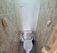 Badezimmer mit WC und Fliesen in einer 4-Zimmer-Wohnung, ausgestattet mit Toilettenpapier und Bürste.