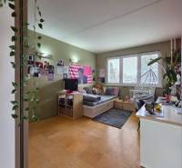 Wohnzimmer in einer 4-Zimmer-Wohnung mit Bett, Dekorationen und Holzboden.