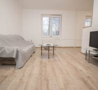 Wohnzimmer in einer 2-Zimmer-Wohnung mit einem Sofa, einem Tisch und einem Fernseher auf einem Boden mit Holzdekor.