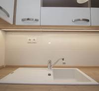 Küchenarbeitsplatte mit Holzdekor und weißem Spülbecken in einer 2-Zimmer-Wohnung.