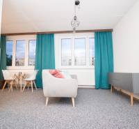 Wohnzimmer in einer 4-Zimmer-Wohnung mit blauen Vorhängen und grauen Möbeln.