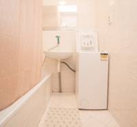 Badezimmer mit Duschvorhang, Waschbecken und Waschmaschine in einer 4-Zimmer-Wohnung.