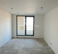 Ein leerer Raum mit Betonboden, Blick auf den Balkon und einem großen Fenster, geeignet für eine 2-Zimmer-Wohnung.
