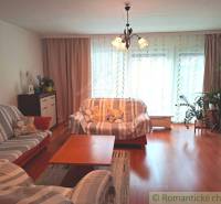 Wohnzimmer in einem Einfamilienhaus mit Holzboden, Licht und Sofas.