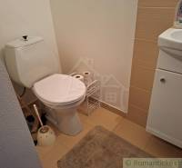 Badezimmer in einem Einfamilienhaus mit Toilette und Waschbecken auf einem Boden mit Holzdekor.