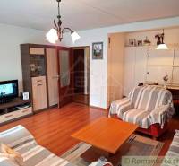 Wohnzimmer in einem Einfamilienhaus mit bequemen Sofas und einem Boden in Holzoptik.