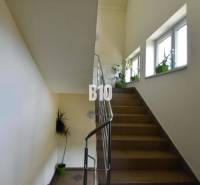 Eine Treppe mit Geländer und Pflanzen neben den Fenstern erhöht die natürliche Beleuchtung der Büros.