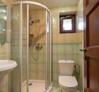 Badezimmer mit Toilette, Dusche und Waschbecken in einer Wohnung mit 5 oder mehr Zimmern.