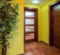 Flur in einer 5- oder mehr-Zimmer-Wohnung mit Holzboden und gelben Wänden.