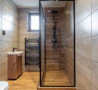 Badezimmer in einer Wohnung mit 5 oder mehr Zimmern mit Holzboden und Duschkabine.