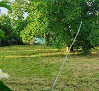 Garten in Dolné Dubové in der Straße Dolné Dubové, geeignet für Grundstücke - Wohnen.