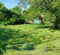 Grünflächen für Wohnzwecke in Dolné Dubové mit reichlich Grün und Bäumen.