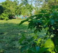 Grundstücke zum Wohnen in Dolné Dubové, Straße Dolné Dubové. Bewässerter, eingezäunter Garten mit Bäumen.