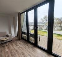 Innenraum der Hütte mit Sofa, Holzboden, große Fenster mit Blick auf die Terrasse.