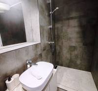 Ein Badezimmer in einer Hütte mit Waschbecken, Spiegel und Duschkabine mit dunklen Fliesen.