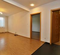 Wohnzimmer in einer 3-Zimmer-Wohnung mit Holzboden und Blick aus dem Fenster.