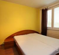 Schlafzimmer in einer 3-Zimmer-Wohnung mit viel Licht und einem Boden in Holzoptik.