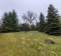 Der Garten des Einfamilienhauses in der Hauptstraße in Piskorovce mit Bäumen.