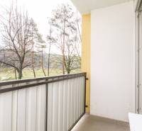 Balkon einer 2-Zimmer-Wohnung mit Blick auf die Natur, Geländer und Fliesen.