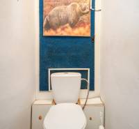 Ein schmales Badezimmer mit Toilette und Wanddekoration in einer 2-Zimmer-Wohnung.