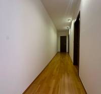 Flur mit Eingangstür und Boden in Holzoptik in einer 4-Zimmer-Wohnung.