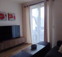 Wohnzimmer mit Holzboden, Fernseher und Sofa, 2-Zimmer-Wohnung.