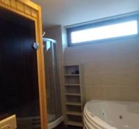 Badezimmer in einer 2-Zimmer-Wohnung mit Sauna, Dusche und Whirlpool.