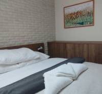 Schlafzimmer in einer 2-Zimmer-Wohnung mit Bett und Schrank, Boden mit Holzdekor.