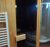 Sauna und Dusche im Badezimmer einer Zweizimmerwohnung mit Holzboden.