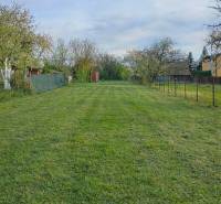 Ein Garten in Michalovce bei einem Einfamilienhaus mit gemähtem Rasen und Bäumen.