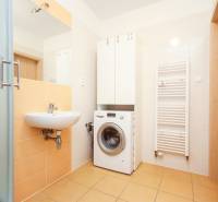 Badezimmer in einer 2-Zimmer-Wohnung mit Dusche, Waschmaschine und Fliesen.