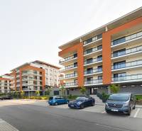 Neubauten in der Zedernstraße in Košická Nová Ves mit Parkplätzen vor den Gebäuden.